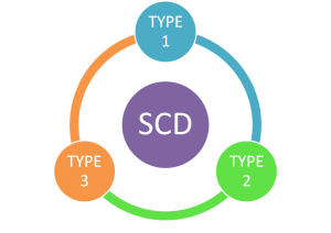Slowly Changing Dimension 